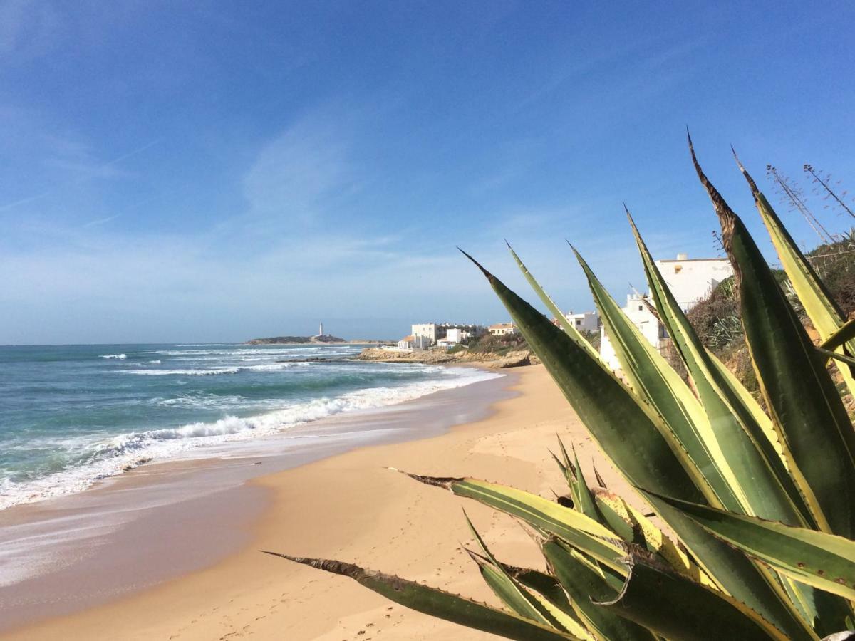 Atico Atlantico Con Aparcamiento Privado Lägenhet Vejer de la Frontera Exteriör bild